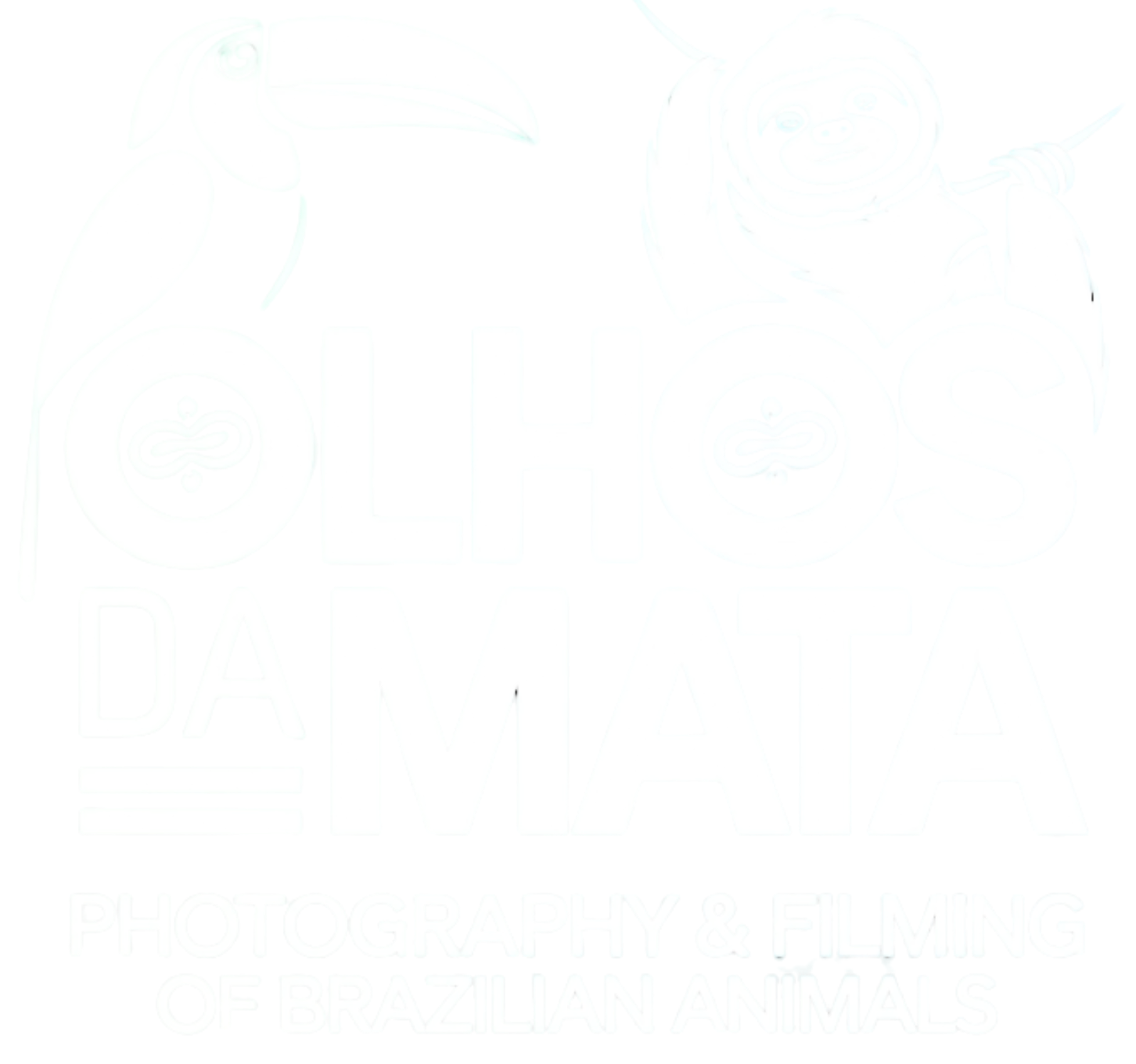Olhos da Mata